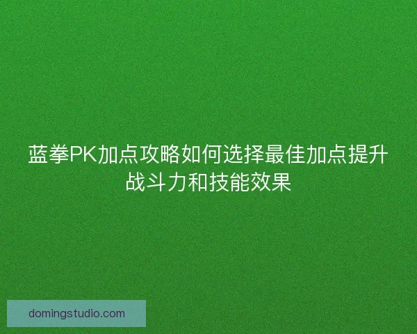 蓝拳PK加点攻略如何选择最佳加点提升战斗力和技能效果