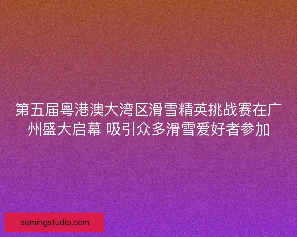 第五届粤港澳大湾区滑雪精英挑战赛在广州盛大启幕 吸引众多滑雪爱好者参加