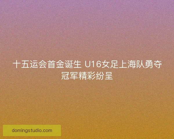 十五运会首金诞生 U16女足上海队勇夺冠军精彩纷呈