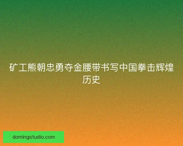 矿工熊朝忠勇夺金腰带书写中国拳击辉煌历史 矿工熊朝忠勇夺金腰带书写中国拳击辉煌历史